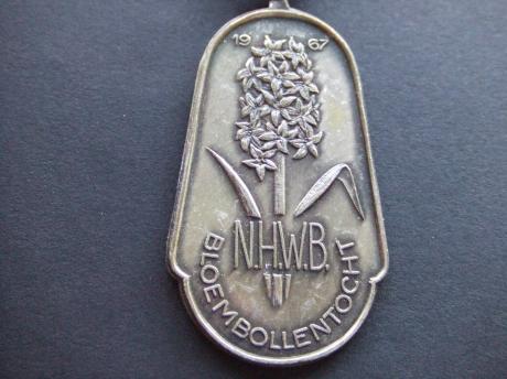 N.H.W.B.(Noord-Hollandse Wandelbond) bloembollentocht 1967, Hyacint